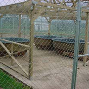Ashley Youth Detention Centre aquaculture